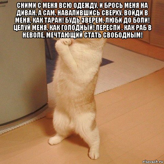 сними с меня всю одежду, и брось меня на диван, а сам, навалившись сверху, войди в меня, как таран! будь зверем, люби до боли! целуй меня, как голодный! переспи , как раб в неволе, мечтающий стать свободным! , Мем  котэ молится