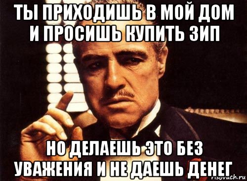 ты приходишь в мой дом и просишь купить зип но делаешь это без уважения и не даешь денег, Мем крестный отец