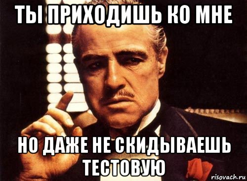 ты приходишь ко мне но даже не скидываешь тестовую, Мем крестный отец