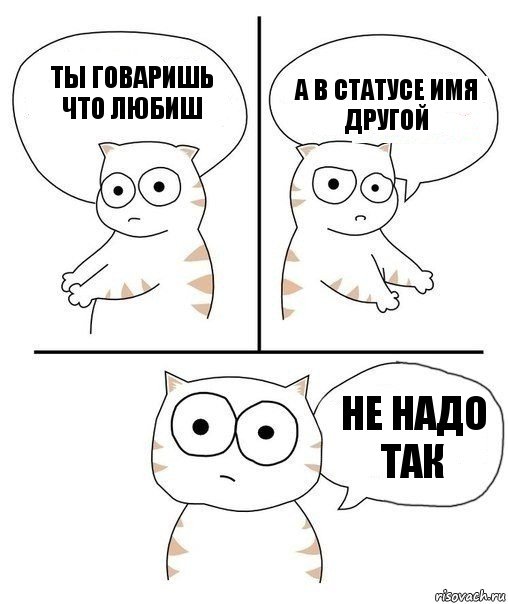 Ты говаришь что любиш А в статусе имя другой Не надо так, Комикс Не надо так кот