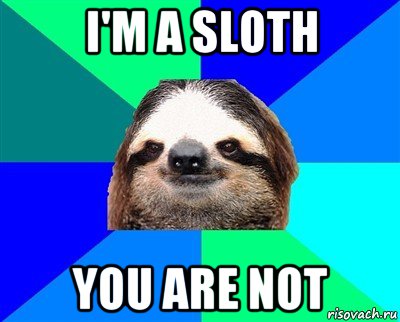 i'm a sloth you are not, Мем Ленивец