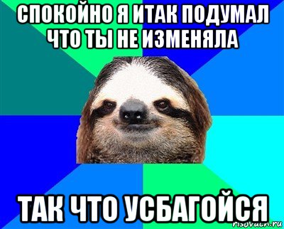 спокойно я итак подумал что ты не изменяла так что усбагойся, Мем Ленивец