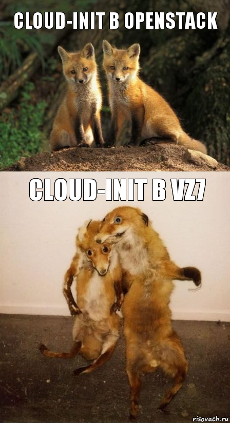 cloud-init в openstack cloud-init в vz7, Комикс Лисицы