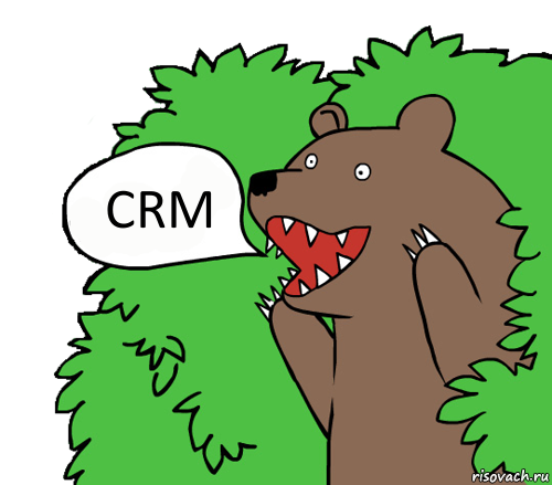 CRM, Комикс медведь из кустов