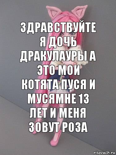 здравствуйте я дочь дракулауры а это мои котята пуся и мусямне 13 лет и меня зовут роза, Комикс монстер хай новая ученица