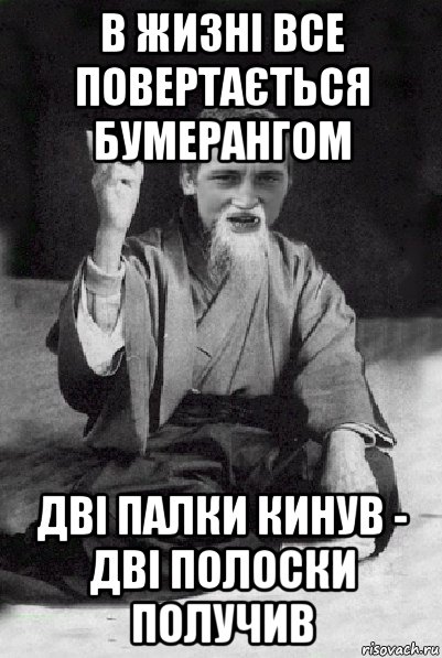 в жизні все повертається бумерангом дві палки кинув - дві полоски получив, Мем Мудрий паца