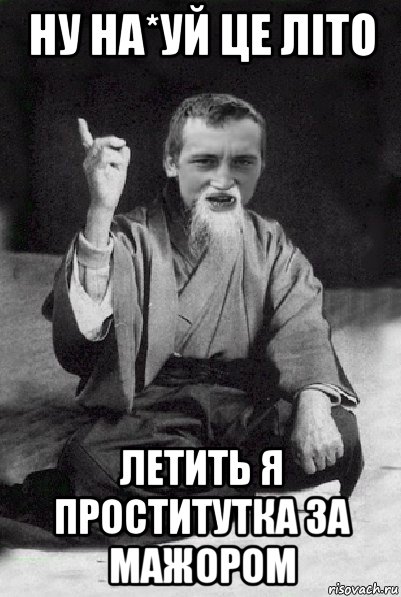 ну на*уй це літо летить я проститутка за мажором, Мем Мудрий паца