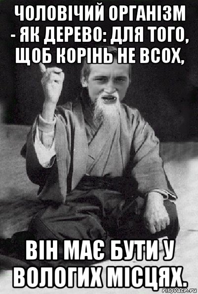 чоловічий організм - як дерево: для того, щоб корінь не всох, він має бути у вологих місцях., Мем Мудрий паца