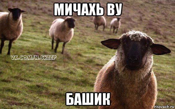 мичахь ву башик