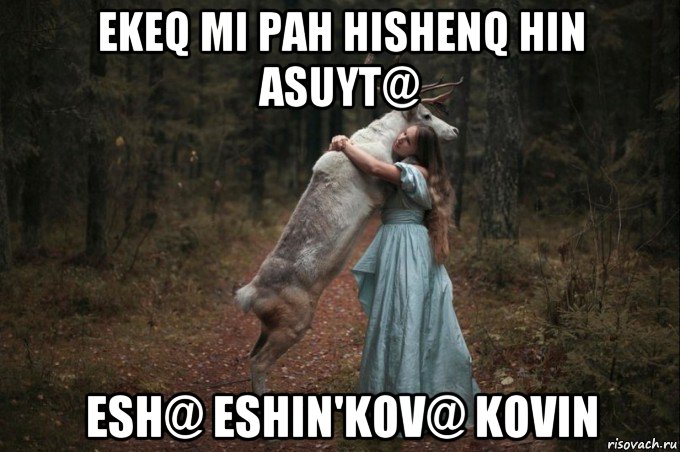 ekeq mi pah hishenq hin asuyt@ esh@ eshin'kov@ kovin, Мем Наивный Олень шаблон 5