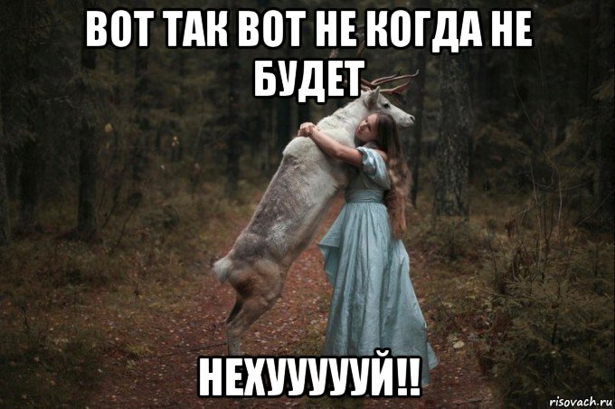 вот так вот не когда не будет нехуууууй!!, Мем Наивный Олень шаблон 5