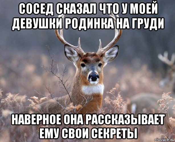 сосед сказал что у моей девушки родинка на груди наверное она рассказывает ему свои секреты, Мем   Наивный олень