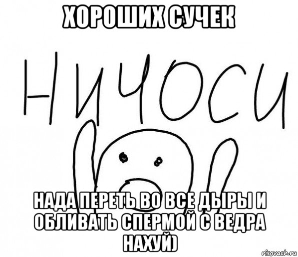 хороших сучек нада переть во все дыры и обливать спермой с ведра нахуй), Мем  Ничоси