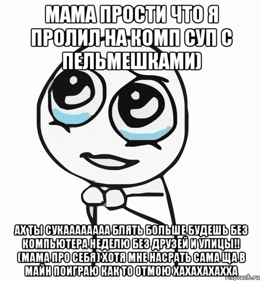 мама прости что я пролил на комп суп с пельмешками) ах ты сукаааааааа блять больше будешь без компьютера неделю без друзей и улицы!! (мама про себя) хотя мне насрать сама ща в майн поиграю как то отмою хахахахахха, Мем  ну пожалуйста (please)