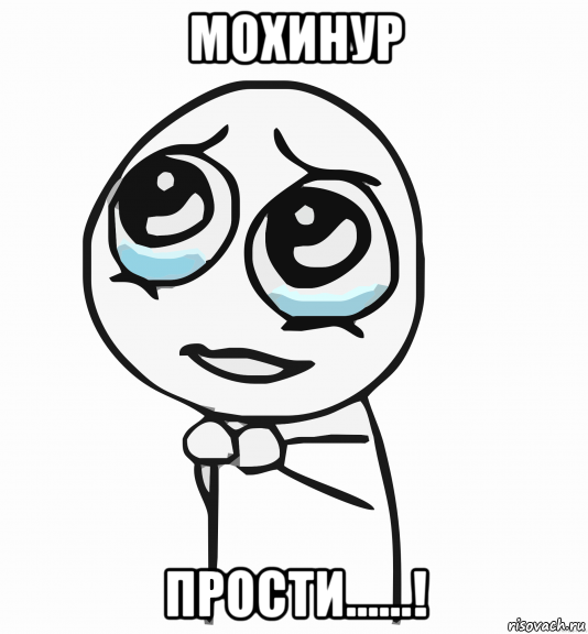 мохинур прости......!, Мем  ну пожалуйста (please)