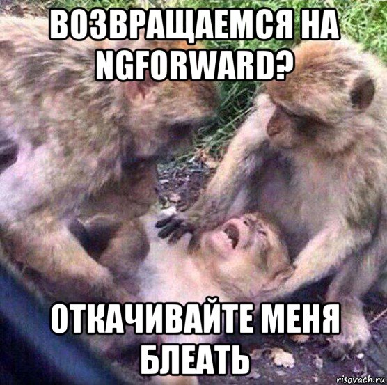 возвращаемся на ngforward? откачивайте меня блеать, Мем Обезьяны