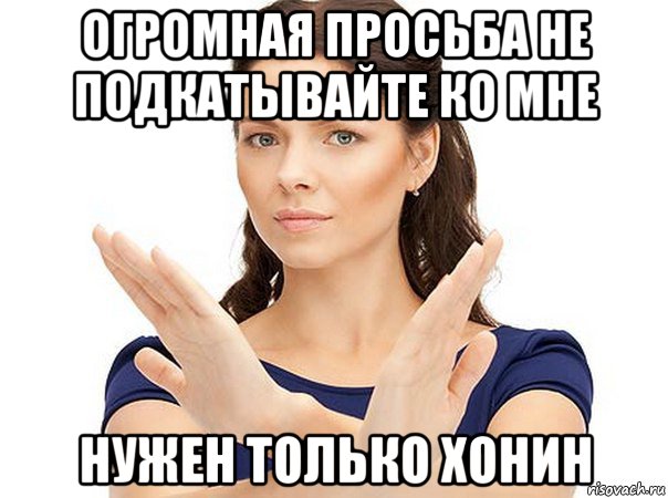 огромная просьба не подкатывайте ко мне нужен только хонин, Мем Огромная просьба