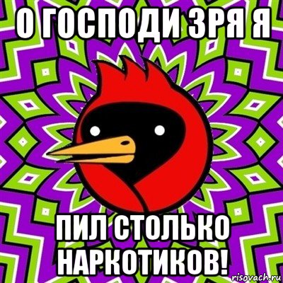 о господи зря я пил столько наркотиков!, Мем Омская птица