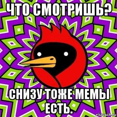 что смотришь? снизу тоже мемы есть., Мем Омская птица