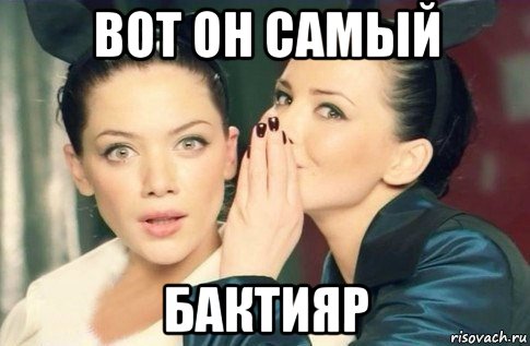 вот он самый бактияр, Мем  Он