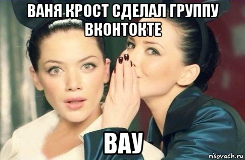 ваня крост сделал группу вконтокте вау, Мем  Он