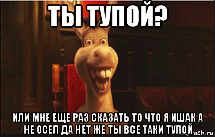 ты тупой? или мне еще раз сказать то что я ишак а не осел да нет же ты все таки тупой, Мем Осел из Шрека