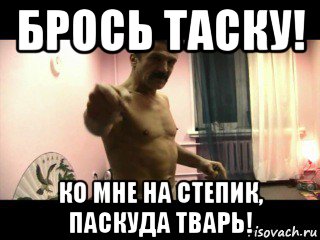 брось таску! ко мне на степик, паскуда тварь!