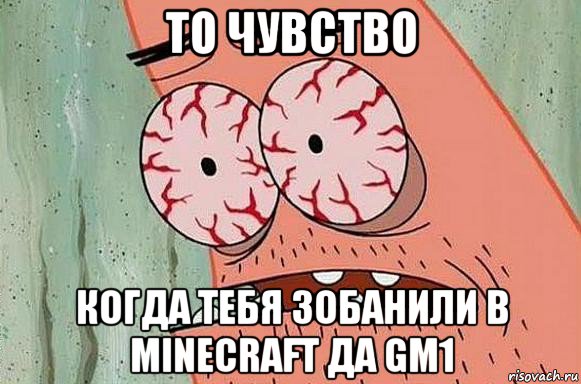 то чувство когда тебя зобанили в minecraft да gm1, Мем  Патрик в ужасе