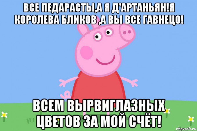 все педарасты,а я д'артаньян!я королева бликов ,а вы все гавнецо! всем вырвиглазных цветов за мой счёт!, Мем Пеппа