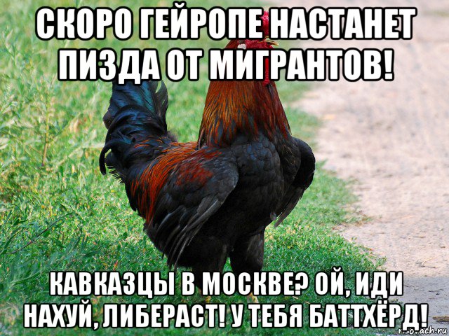 скоро гейропе настанет пизда от мигрантов! кавказцы в москве? ой, иди нахуй, либераст! у тебя баттхёрд!, Мем петух