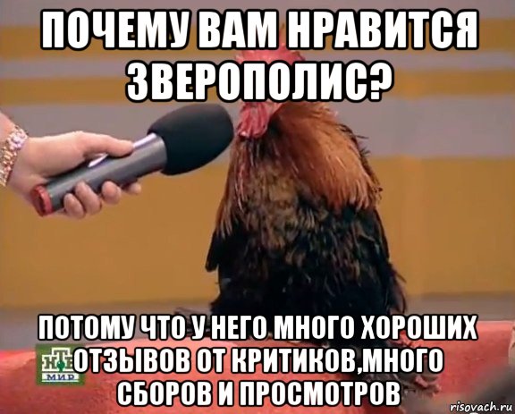 почему вам нравится зверополис? потому что у него много хороших отзывов от критиков,много сборов и просмотров, Мем петух