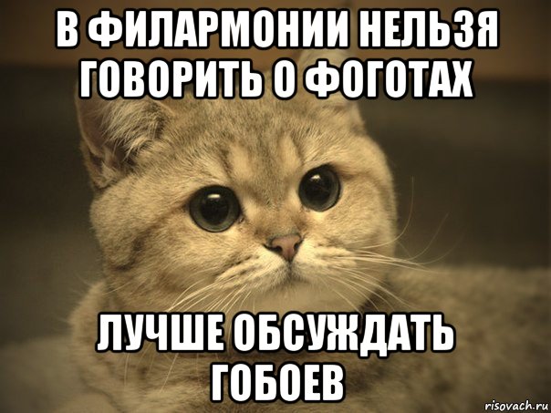 в филармонии нельзя говорить о фоготах лучше обсуждать гобоев, Мем Пидрила ебаная котик