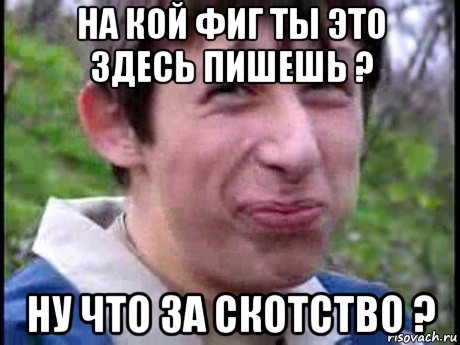 на кой фиг ты это здесь пишешь ? ну что за скотство ?, Мем  Пиздун