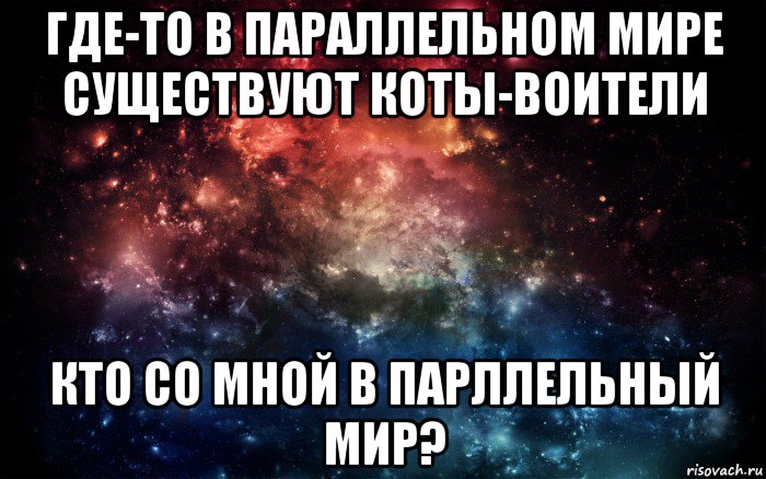 где-то в параллельном мире существуют коты-воители кто со мной в парллельный мир?, Мем Просто космос