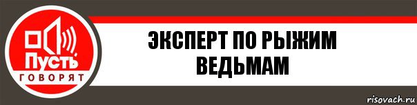 Эксперт по рыжим ведьмам, Комикс   пусть говорят