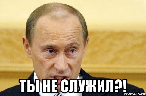  ты не служил?!, Мем путин