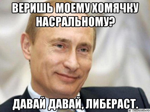 веришь моему хомячку насральному? давай давай, либераст., Мем Ухмыляющийся Путин