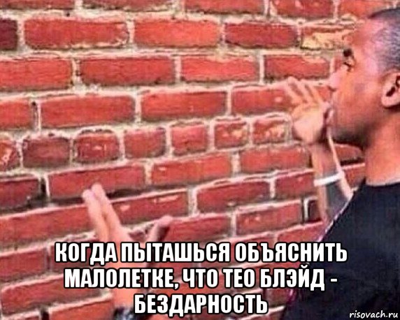  когда пыташься объяснить малолетке, что тео блэйд - бездарность, Мем разговор со стеной