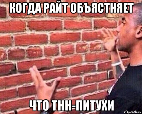 когда райт объястняет что тнн-питухи, Мем разговор со стеной