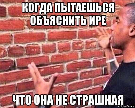 когда пытаешься объяснить ире что она не страшная, Мем разговор со стеной