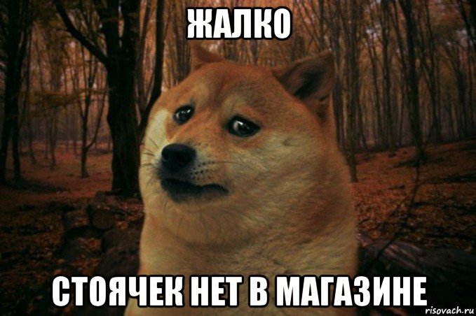 жалко стоячек нет в магазине, Мем SAD DOGE