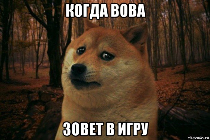 когда вова зовет в игру, Мем SAD DOGE