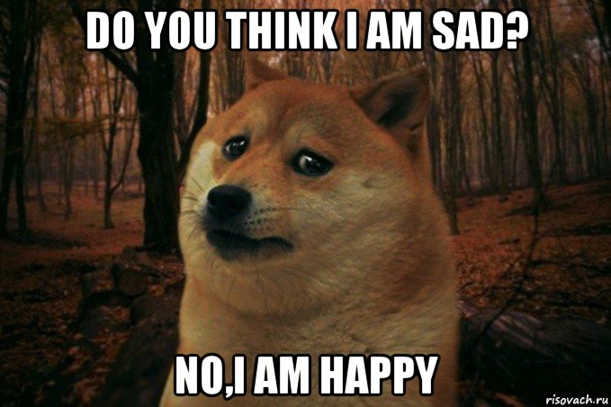 do you think i am sad? no,i am happy, Мем SAD DOGE