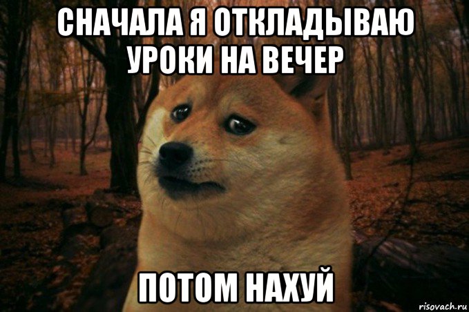 сначала я откладываю уроки на вечер потом нахуй, Мем SAD DOGE