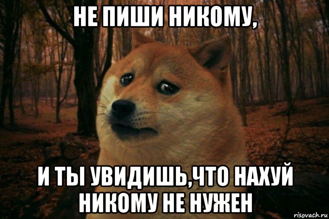 не пиши никому, и ты увидишь,что нахуй никому не нужен, Мем SAD DOGE