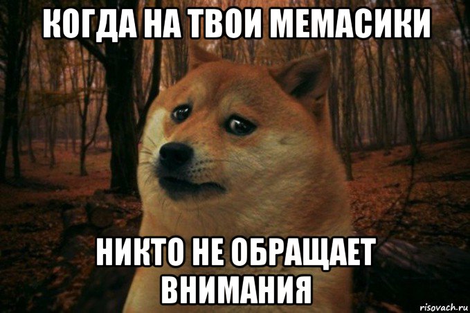 когда на твои мемасики никто не обращает внимания, Мем SAD DOGE