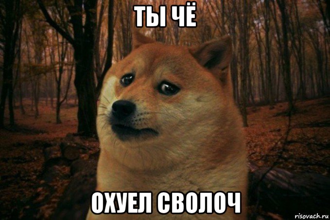 ты чё охуел сволоч, Мем SAD DOGE