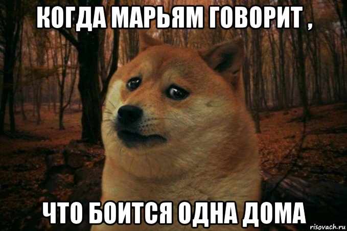 когда марьям говорит , что боится одна дома, Мем SAD DOGE