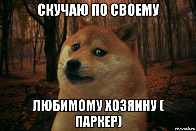 скучаю по своему любимому хозяину ( паркер), Мем SAD DOGE