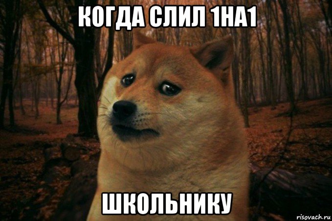 когда слил 1на1 школьнику, Мем SAD DOGE